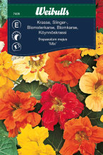 Blomkarse dobbel, 'Mix'